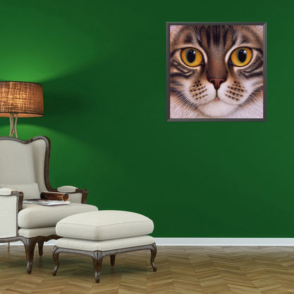 Big Face Cat - Full Round Drill Diamond Painting 30*30CM