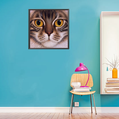 Big Face Cat - Full Round Drill Diamond Painting 30*30CM