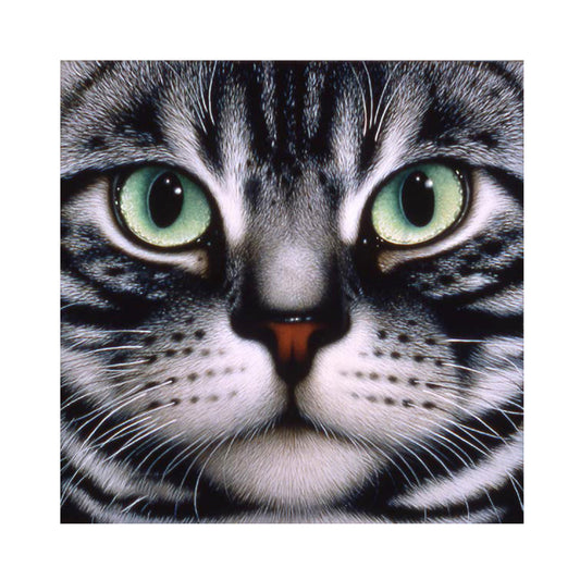 Big Face Cat - Full Round Drill Diamond Painting 30*30CM