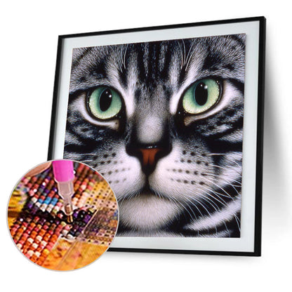 Big Face Cat - Full Round Drill Diamond Painting 30*30CM