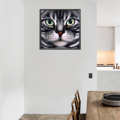 Big Face Cat - Full Round Drill Diamond Painting 30*30CM