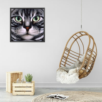 Big Face Cat - Full Round Drill Diamond Painting 30*30CM