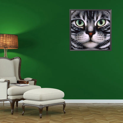 Big Face Cat - Full Round Drill Diamond Painting 30*30CM