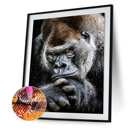 Chimpanzees - Full Square Drill Diamond Painting 30*40CM