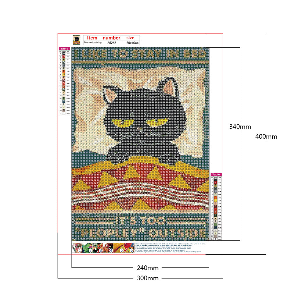 Black Cat Pictorial - Full Round Drill Diamond Painting 30*40CM