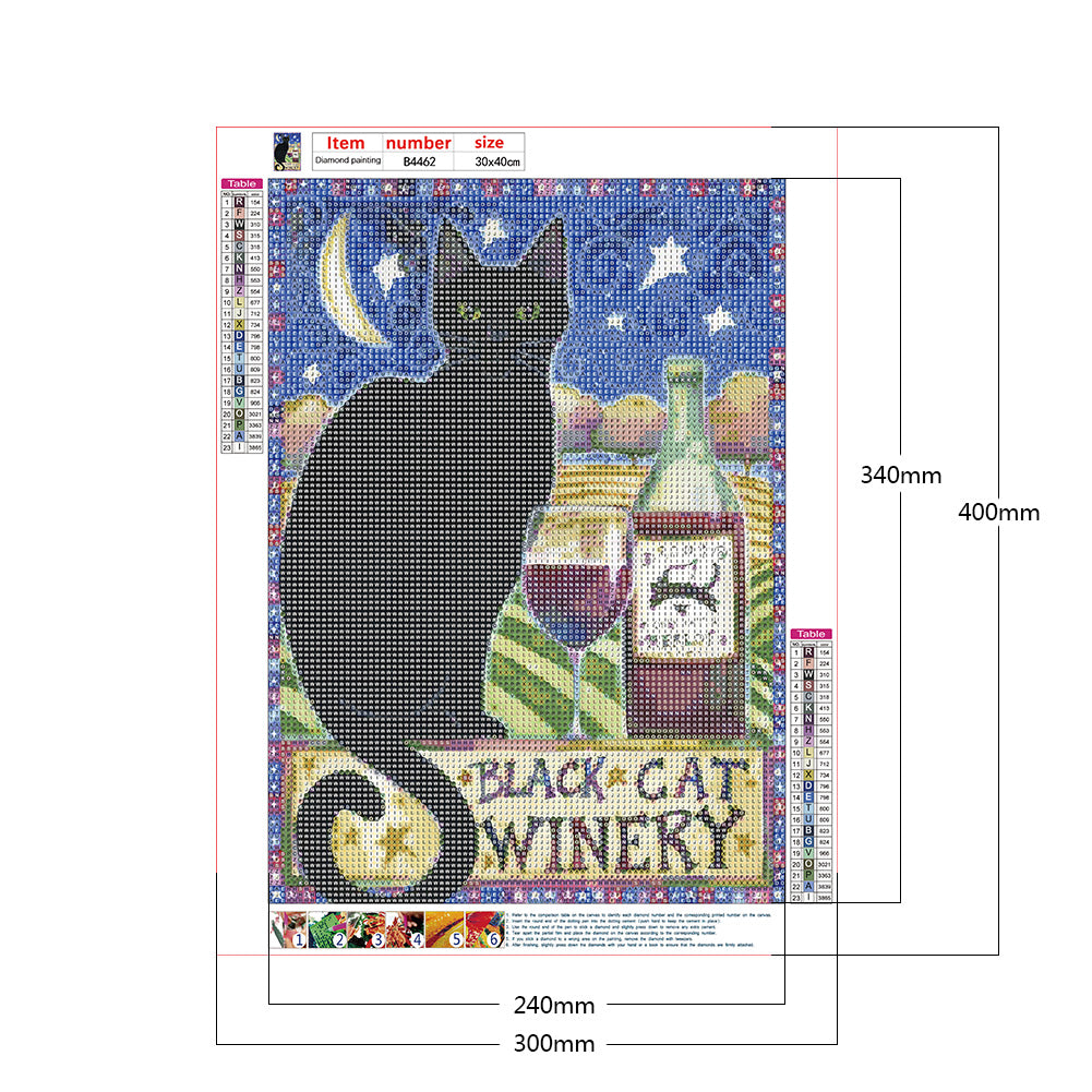 Black Cat Pictorial - Full Round Drill Diamond Painting 30*40CM