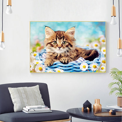 Cat - Full Square Drill Diamond Painting 30*40CM