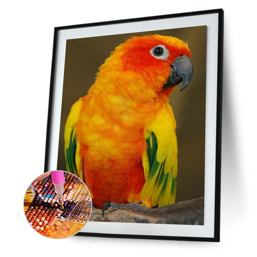 Parrot - Full Square Drill Diamond Painting 30*40CM