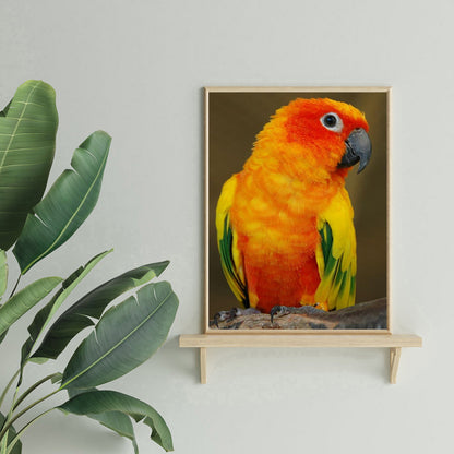 Parrot - Full Square Drill Diamond Painting 30*40CM