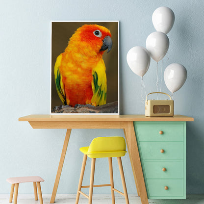 Parrot - Full Square Drill Diamond Painting 30*40CM