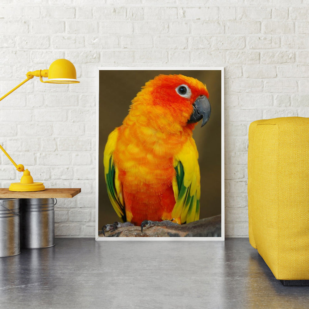 Parrot - Full Square Drill Diamond Painting 30*40CM