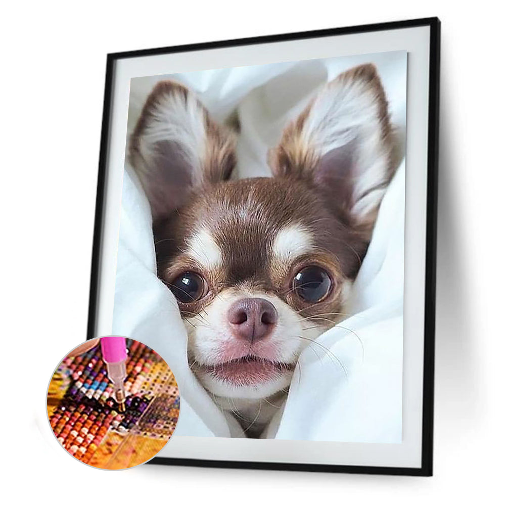 Cute Dog - Full Square Drill Diamond Painting 30*40CM