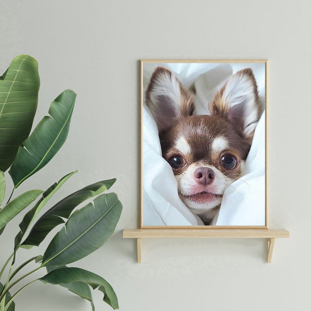 Cute Dog - Full Square Drill Diamond Painting 30*40CM