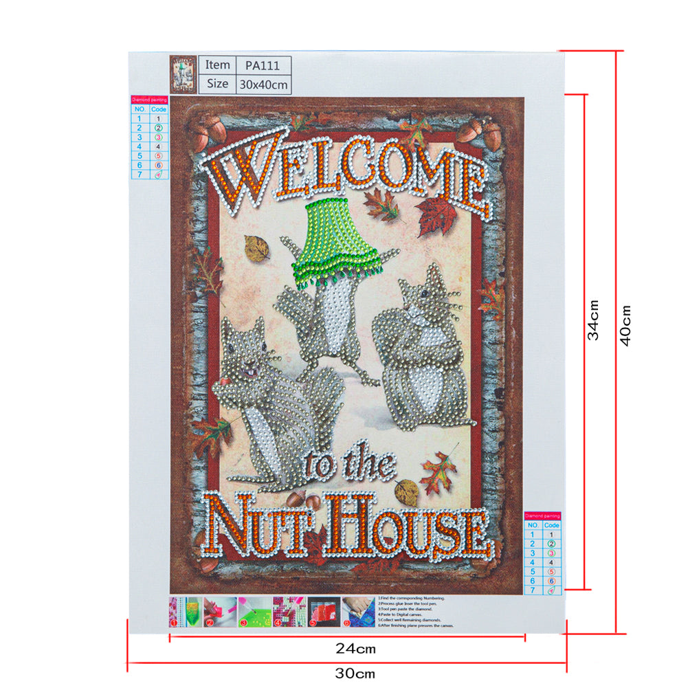 Squirrel Calligraphy - Special Shaped Drill Diamond Paiting 30*40CM