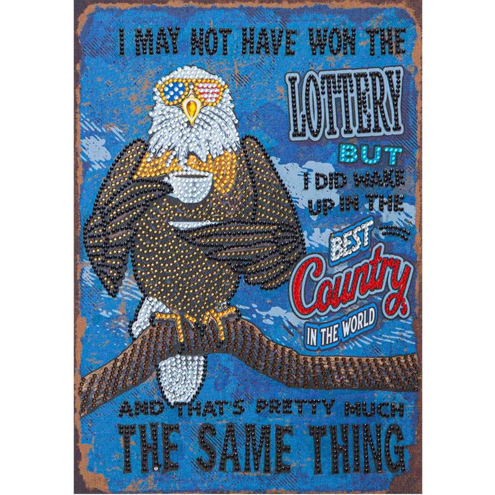 Eagle Calligraphy And Painting - Special Shaped Drill Diamond Paiting 30*40CM