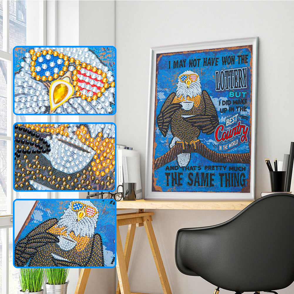 Eagle Calligraphy And Painting - Special Shaped Drill Diamond Paiting 30*40CM