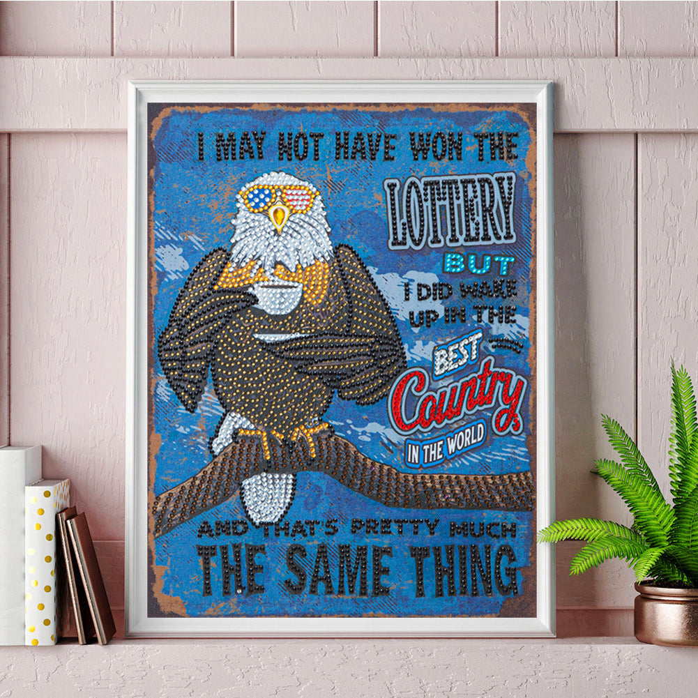 Eagle Calligraphy And Painting - Special Shaped Drill Diamond Paiting 30*40CM