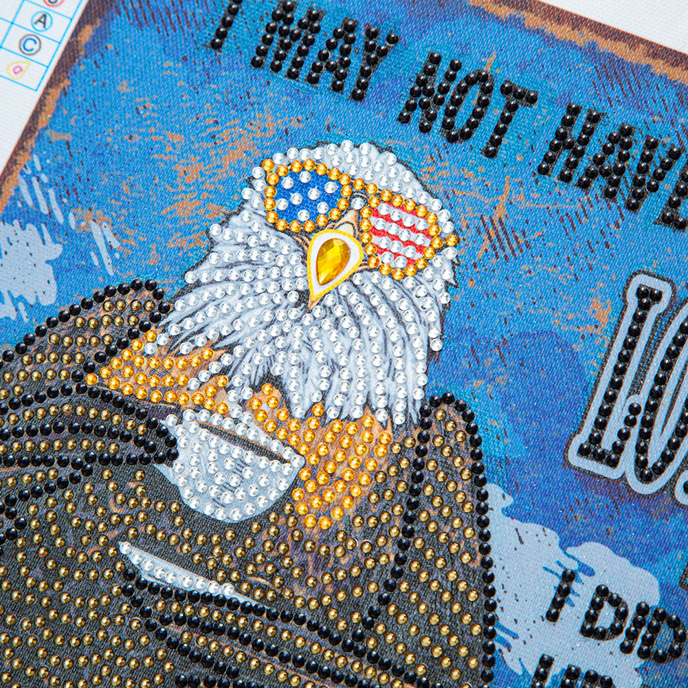 Eagle Calligraphy And Painting - Special Shaped Drill Diamond Paiting 30*40CM