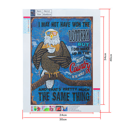 Eagle Calligraphy And Painting - Special Shaped Drill Diamond Paiting 30*40CM