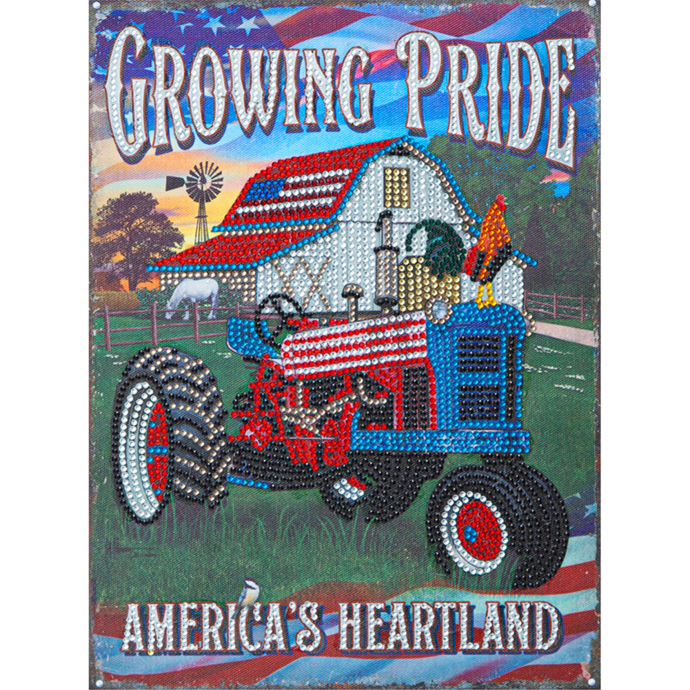 Karting Calligraphy And Painting - Special Shaped Drill Diamond Paiting 30*40CM