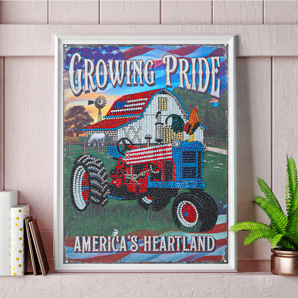 Karting Calligraphy And Painting - Special Shaped Drill Diamond Paiting 30*40CM