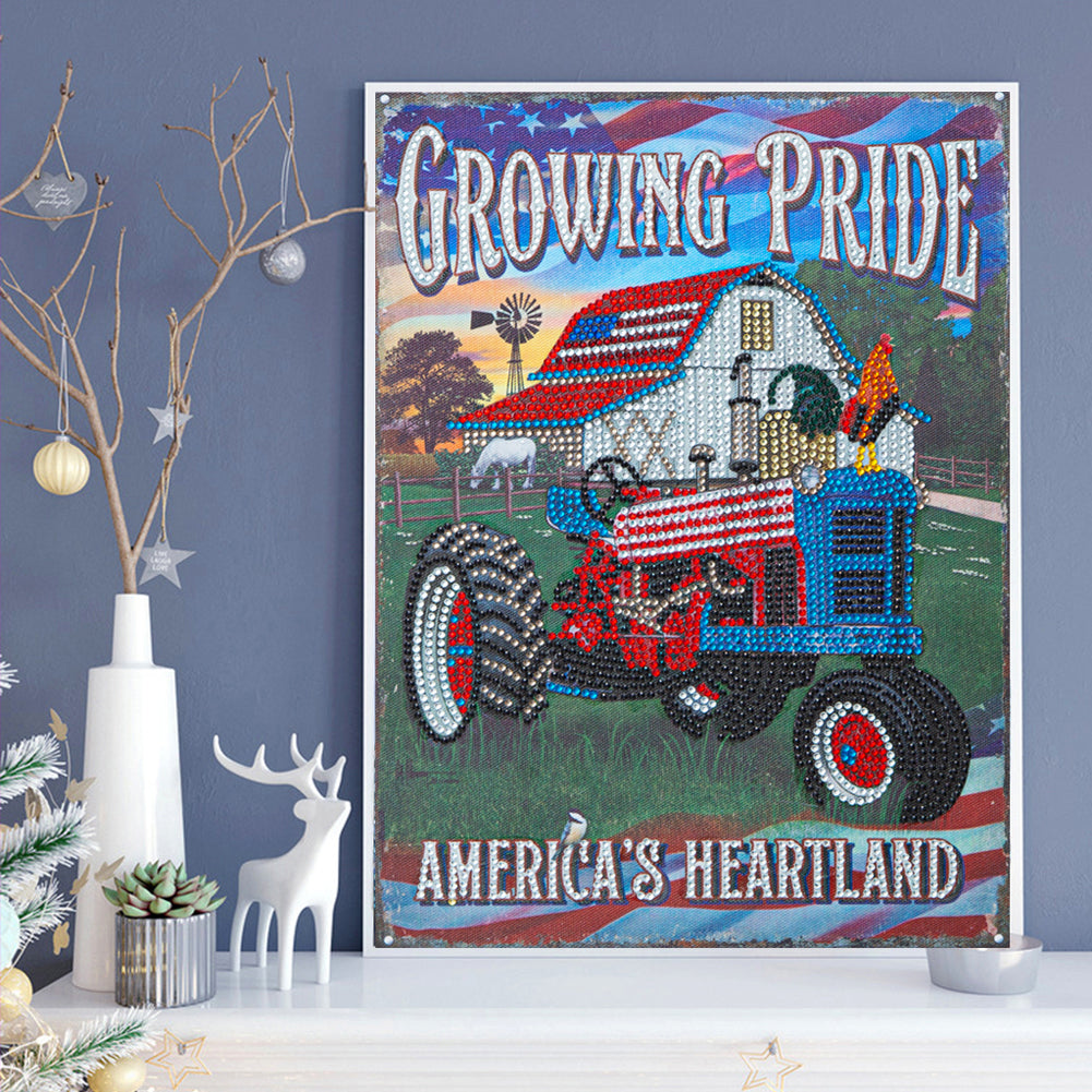 Karting Calligraphy And Painting - Special Shaped Drill Diamond Paiting 30*40CM