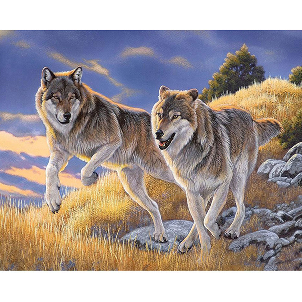 Wolf - Full Round Drill Diamond Painting 50*40CM