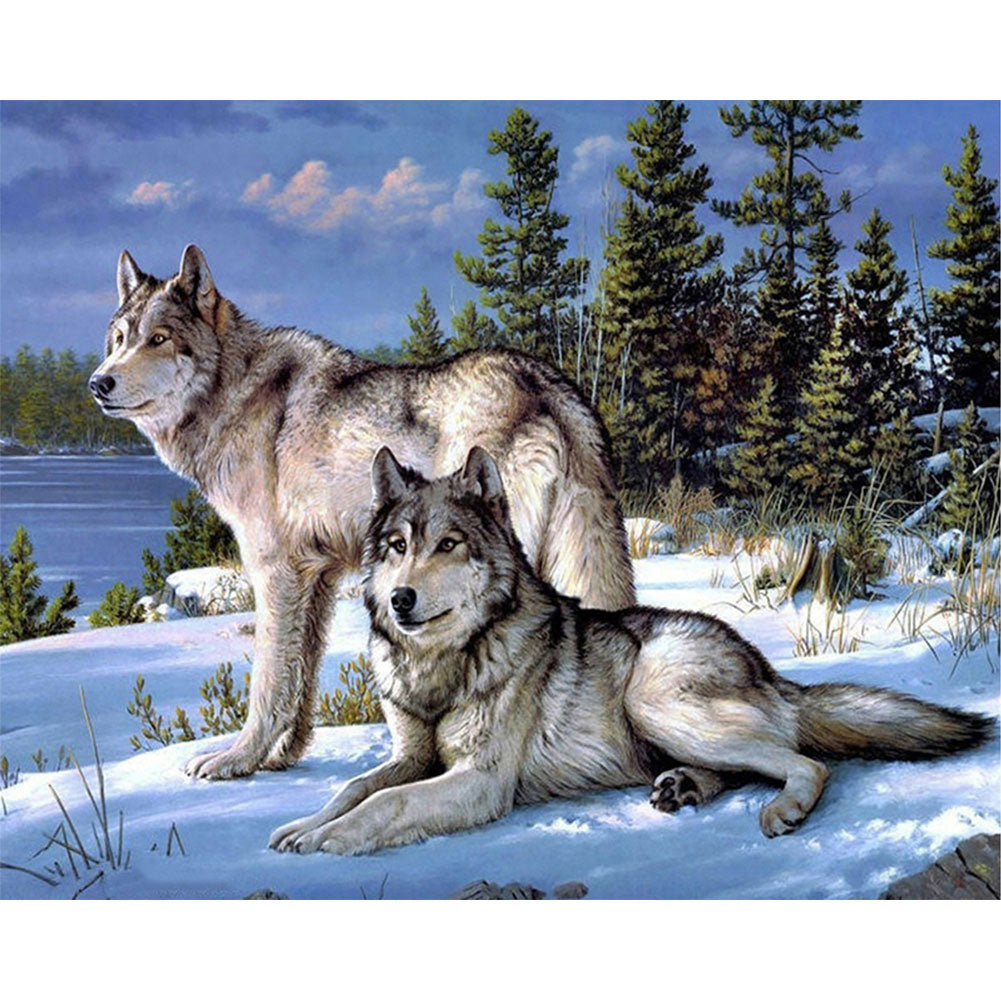 Wolf - Full Round Drill Diamond Painting 50*40CM