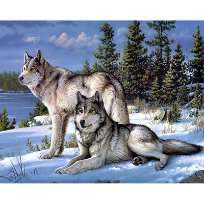Wolf - Full Round Drill Diamond Painting 50*40CM