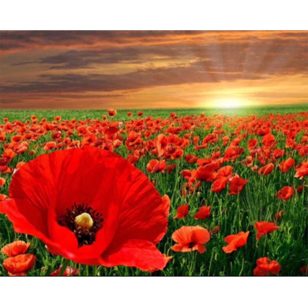 Sunset Flower Sea - Poppy - Full Round Drill Diamond Painting 40*30CM