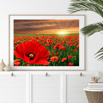 Sunset Flower Sea - Poppy - Full Round Drill Diamond Painting 40*30CM