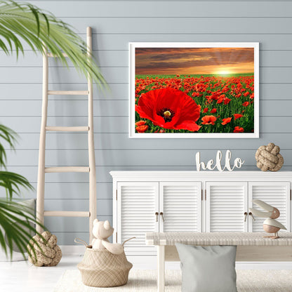 Sunset Flower Sea - Poppy - Full Round Drill Diamond Painting 40*30CM