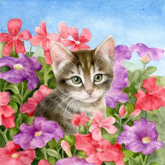 Cat - Full Round Drill Diamond Painting 30*30CM