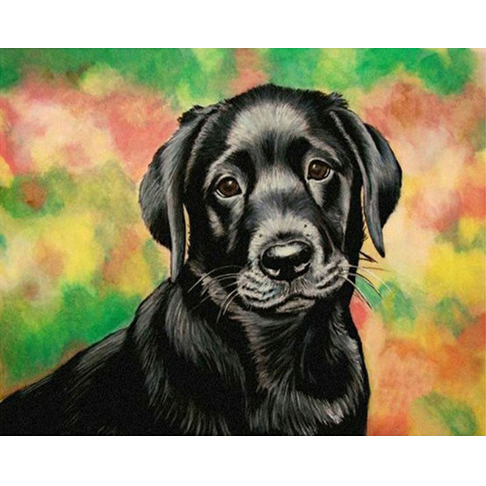 Dog - Full Round Drill Diamond Painting 40*30CM
