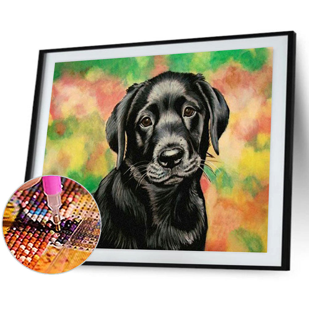 Dog - Full Round Drill Diamond Painting 40*30CM