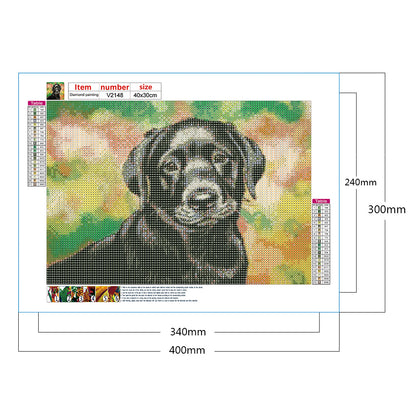Dog - Full Round Drill Diamond Painting 40*30CM