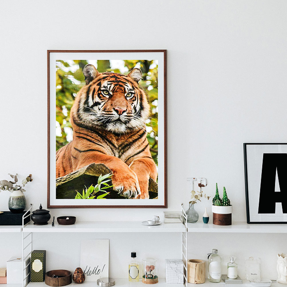 Animal - Full Round Drill Diamond Painting 30*40CM