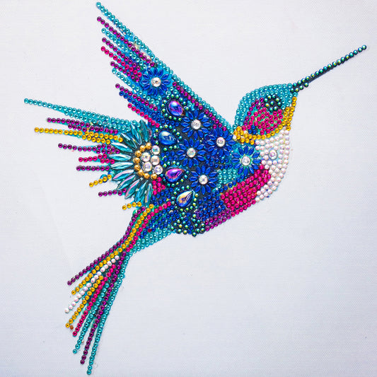 Hummingbird - Special Shaped Drill Diamond Paiting 30*30CM