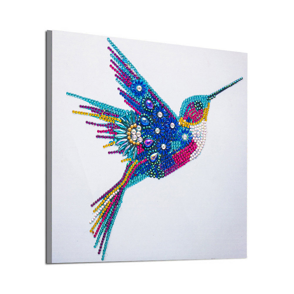 Hummingbird - Special Shaped Drill Diamond Paiting 30*30CM