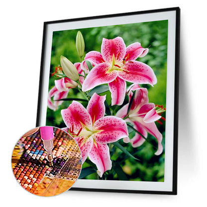 Calla Lily - Full Round Drill Diamond Painting 40*50CM