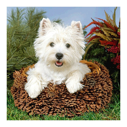 Dog - Full Round Drill Diamond Painting 40*40CM