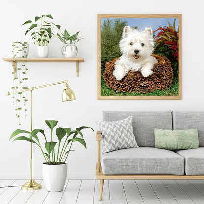 Dog - Full Round Drill Diamond Painting 40*40CM