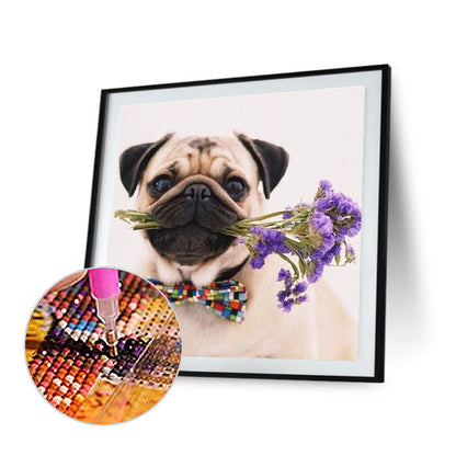 Dog - Full Round Drill Diamond Painting 50*50CM
