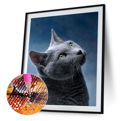 Cat - Full Round Drill Diamond Painting 30*40CM