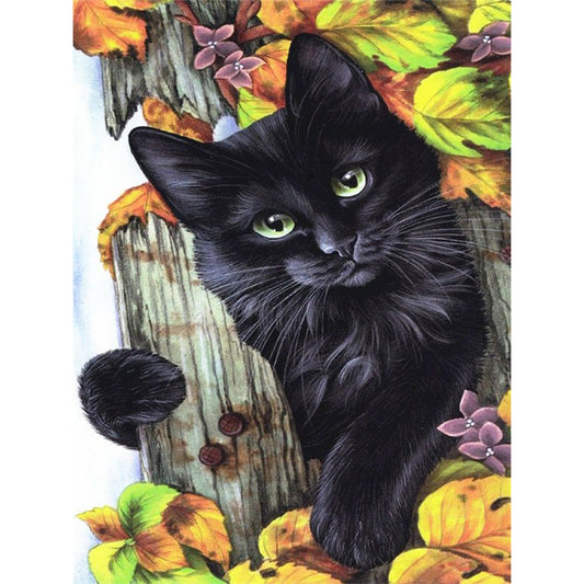 Black Cat - Full Round Drill Diamond Painting 30*40CM