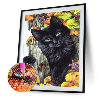 Black Cat - Full Round Drill Diamond Painting 30*40CM