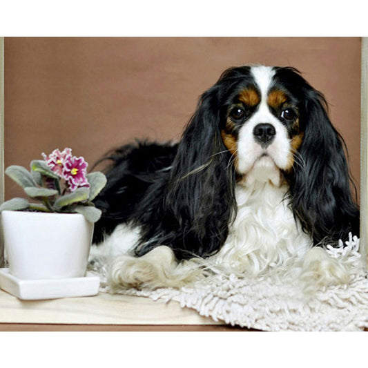 Dog - Full Round Drill Diamond Painting 40*30CM