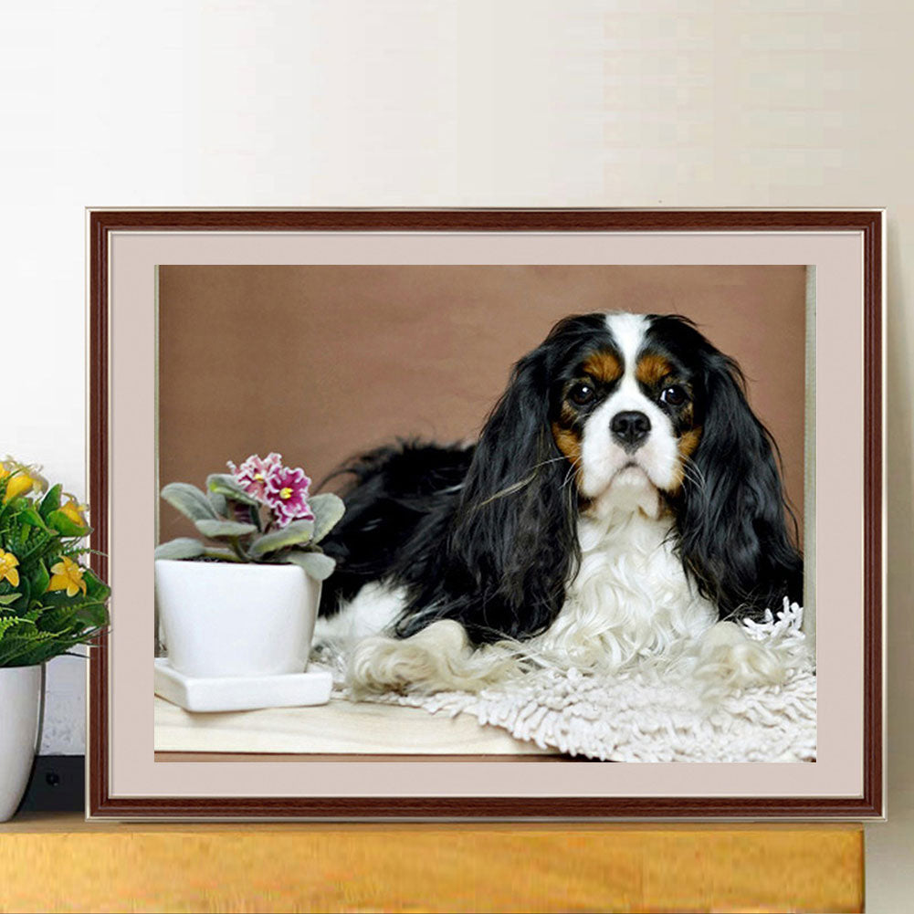 Dog - Full Round Drill Diamond Painting 40*30CM