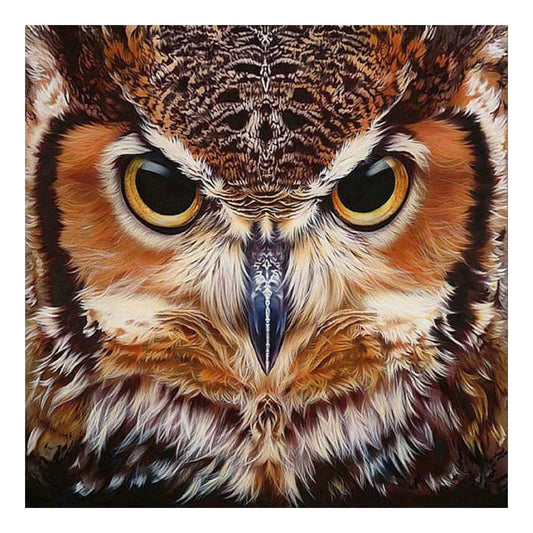 Owl - Full Square Drill Diamond Painting 30*30CM