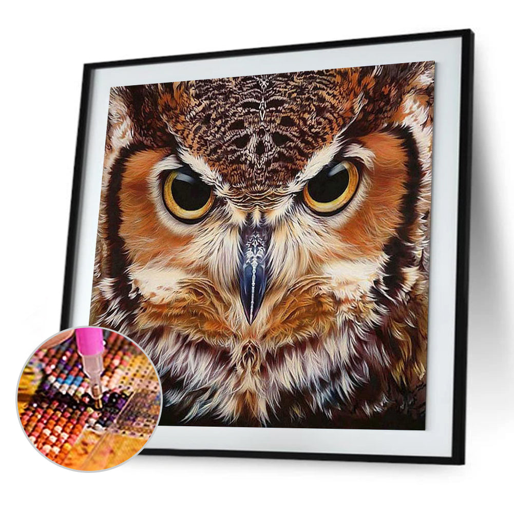 Owl - Full Square Drill Diamond Painting 30*30CM